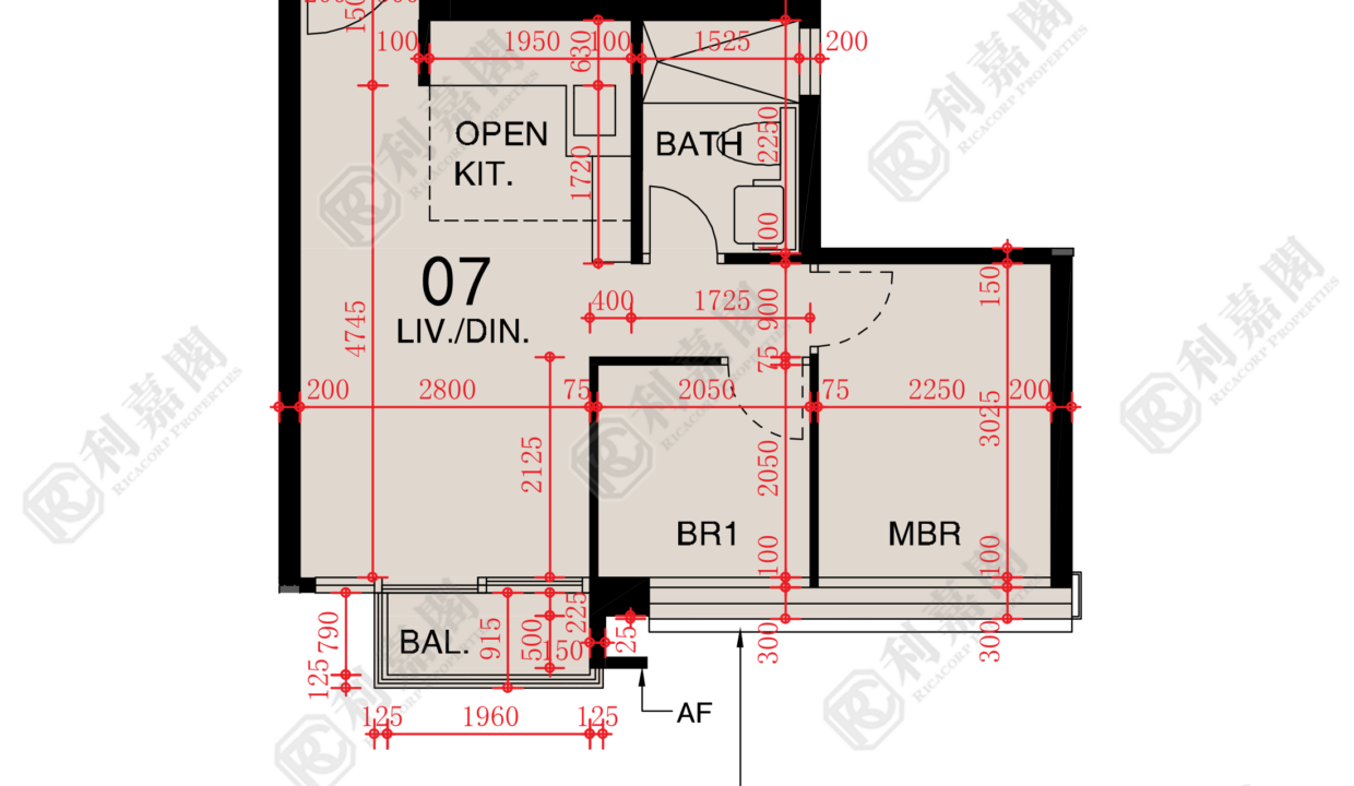 48647_2000_Ricacorp.png