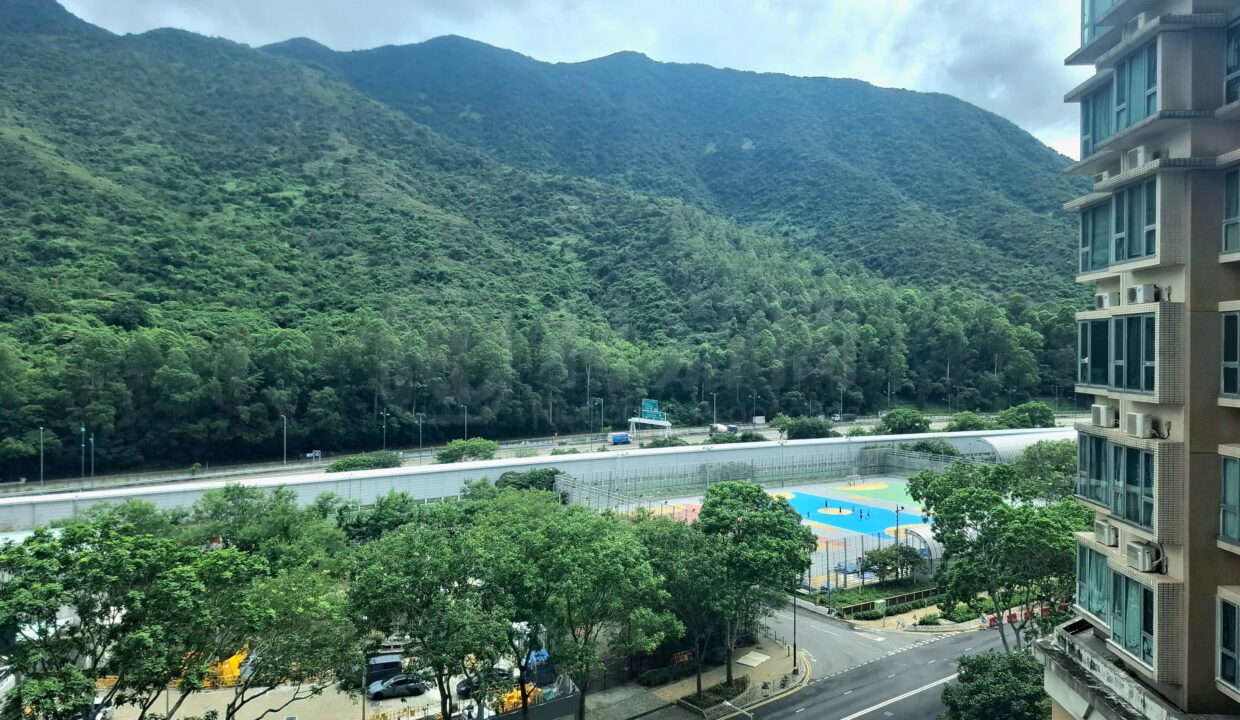 b745cbd1-b6a2-4c84-b349-cfaa7118e0d4.jpeg