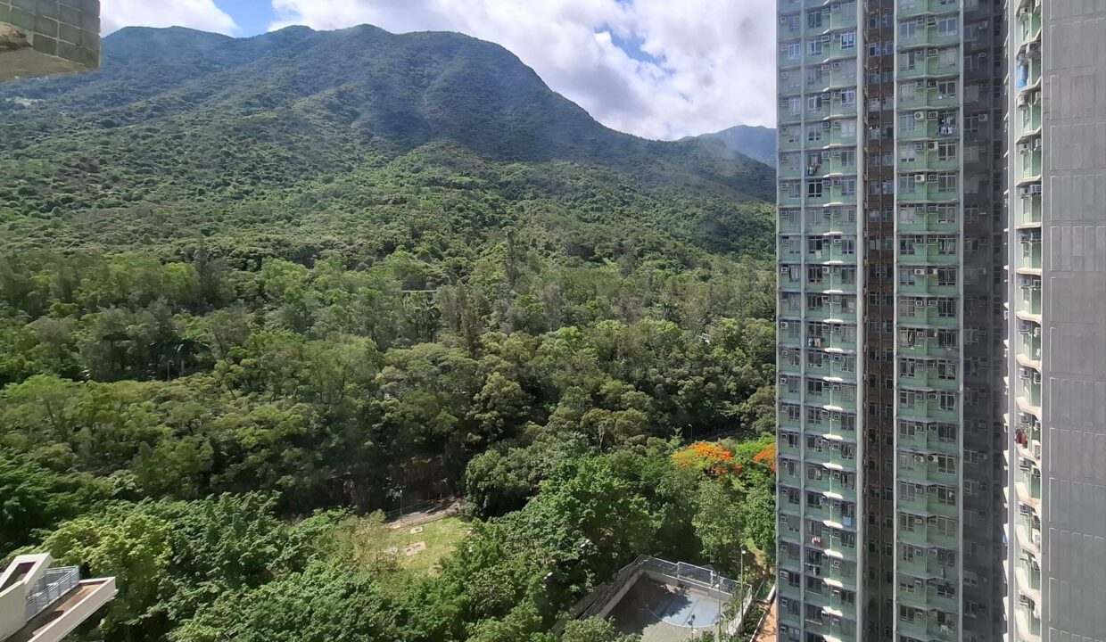 04614916-3beb-4d56-b96a-78c0c032787c.jpeg