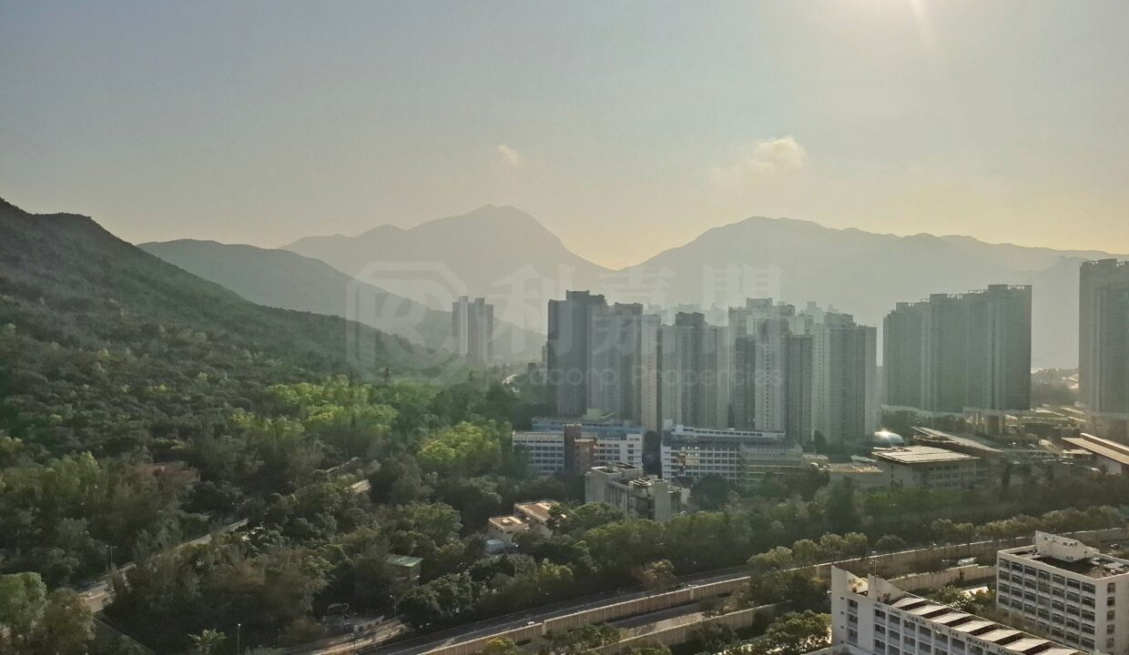 05a9cdde-1c0a-40f5-adb9-613edbc88295.jpeg