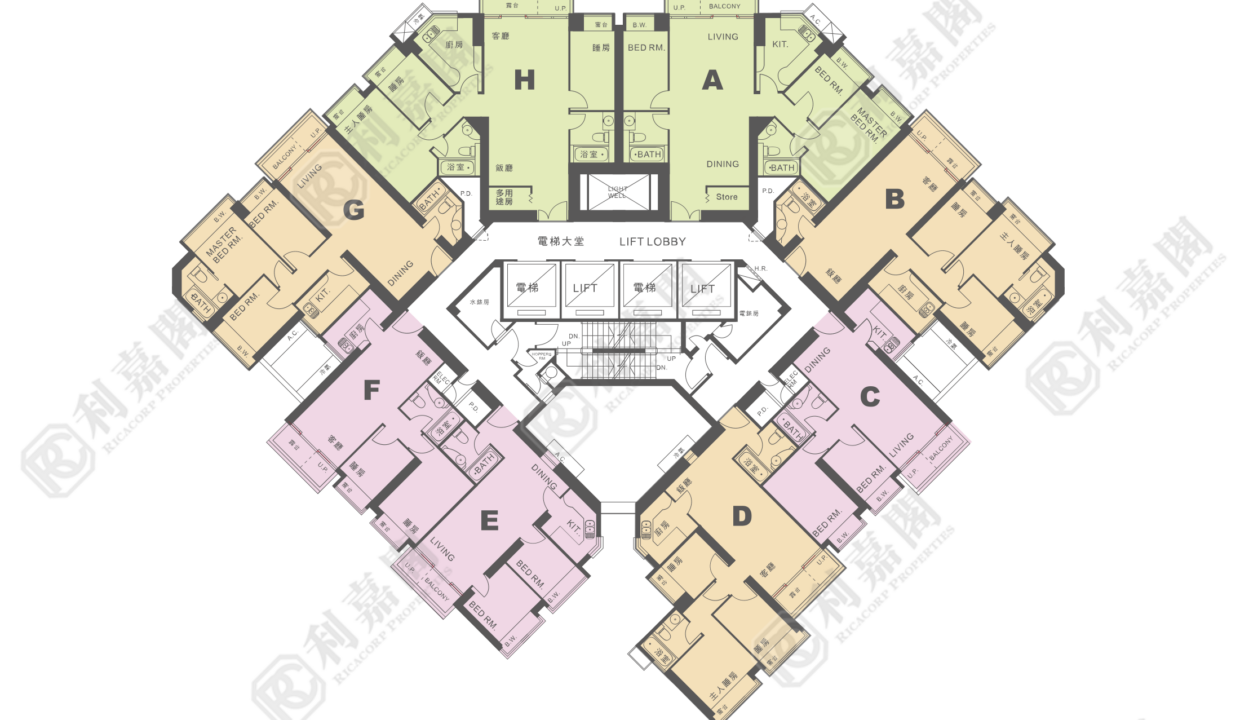 10985_2000_Ricacorp-7.png