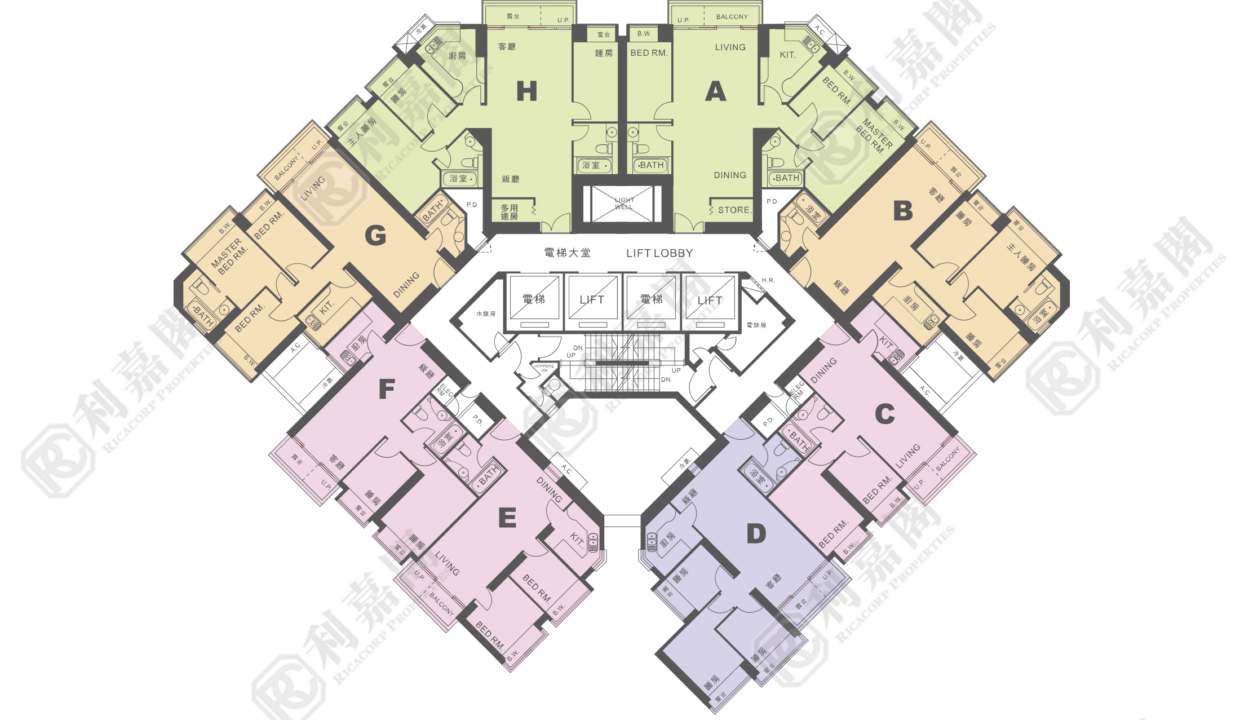 10988_2000_Ricacorp-9.png