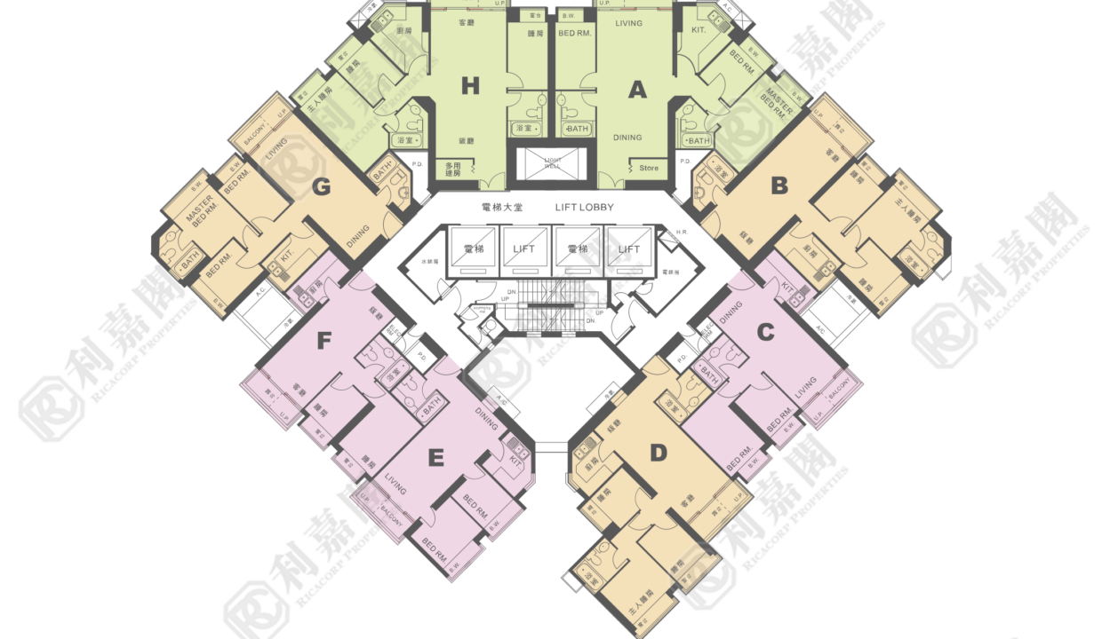10994_2000_Ricacorp-15.png