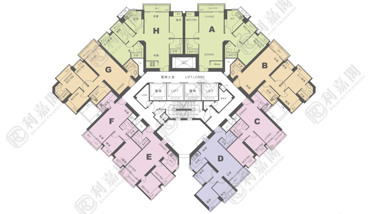 10996_2000_Ricacorp-9.png