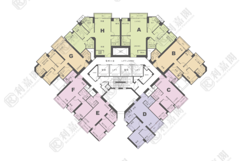 10998_2000_Ricacorp-7.png