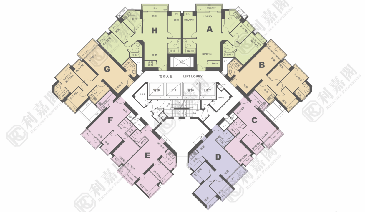 10998_2000_Ricacorp-9.png