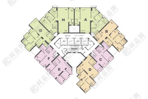 11003_2000_Ricacorp-6.png