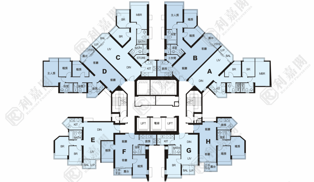 11077_2000_Ricacorp-3.png