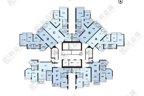 11077_2000_Ricacorp-4.png