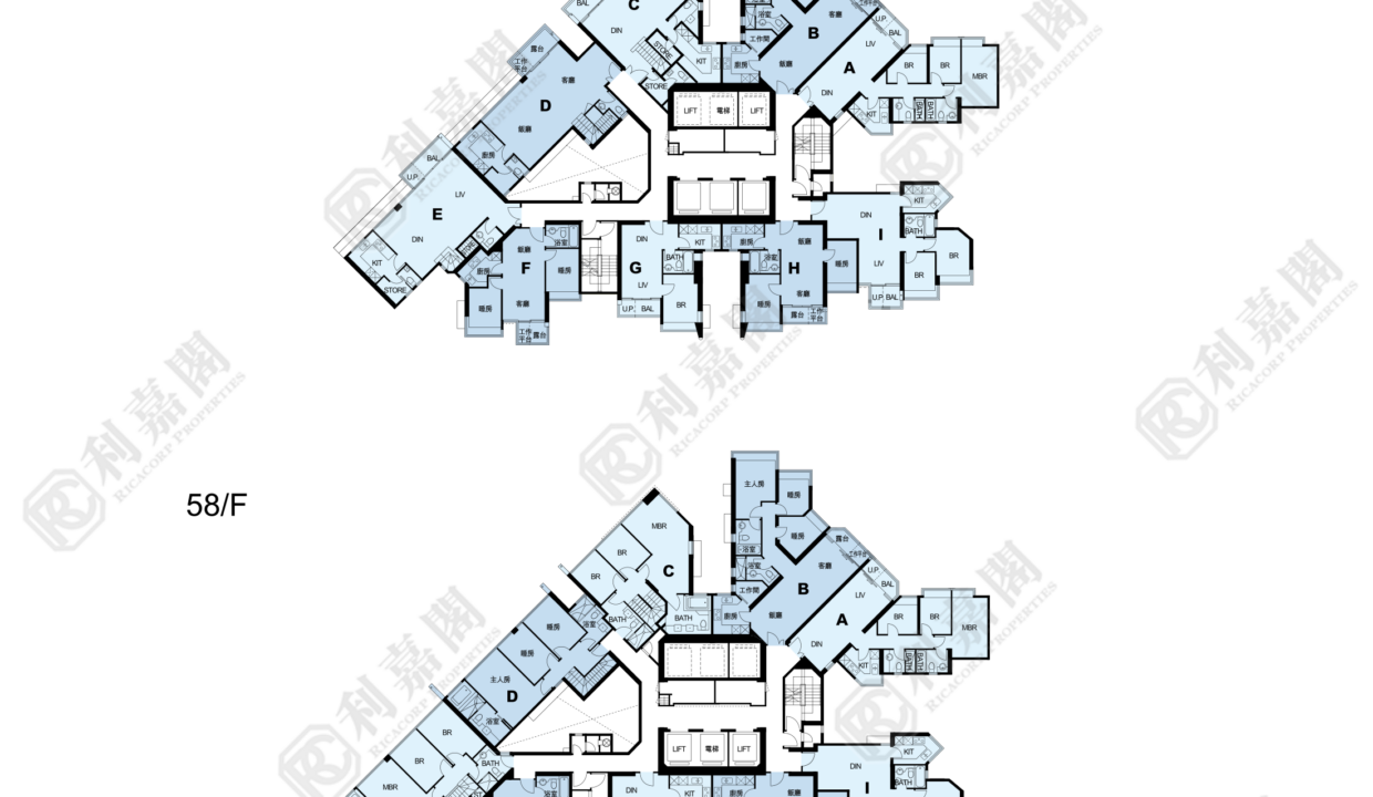 11081_2000_Ricacorp-1.png
