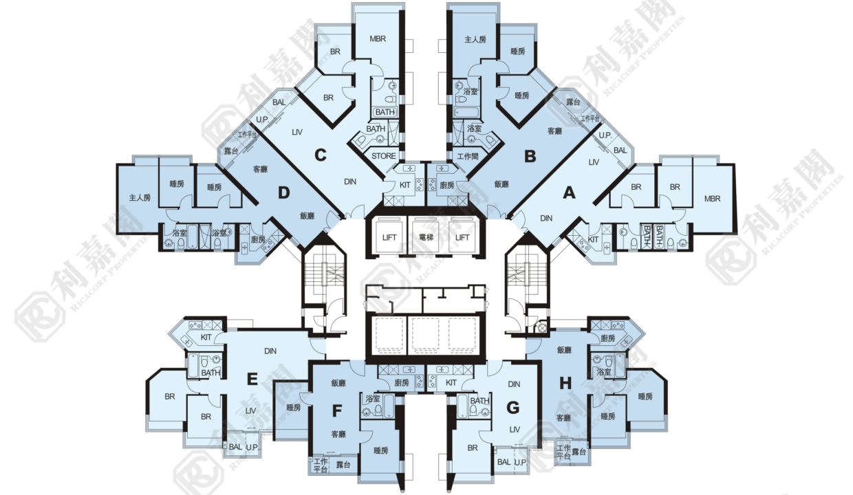 11085_2000_Ricacorp-3.png