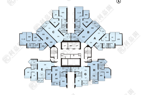 11085_2000_Ricacorp-3.png