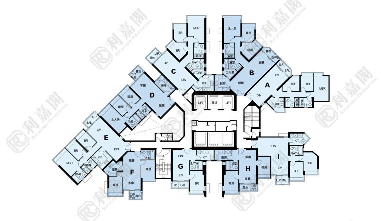 11087_2000_Ricacorp-3.png