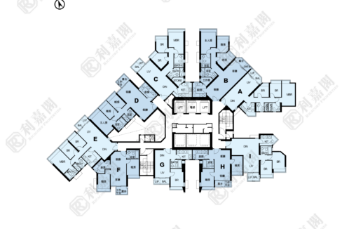 11087_2000_Ricacorp-3.png