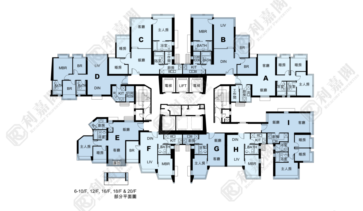 11132_2000_Ricacorp-7.png
