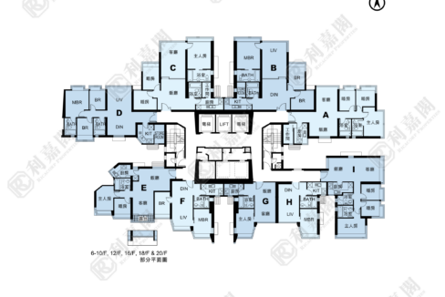11132_2000_Ricacorp-8.png