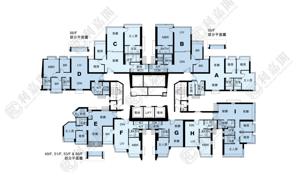 11133_2000_Ricacorp-1.png