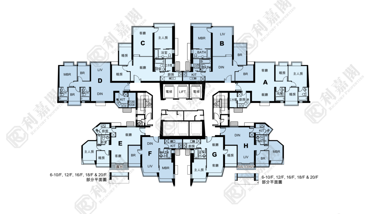 11134_2000_Ricacorp-1.png