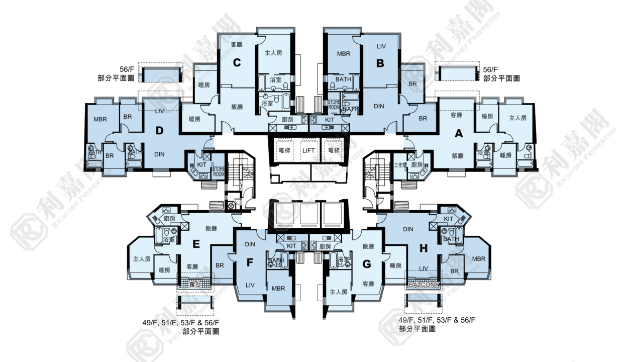 11135_2000_Ricacorp-1.png