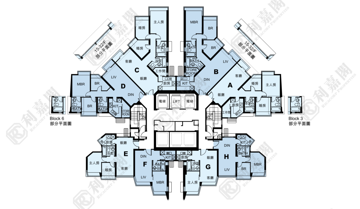 11137_2000_Ricacorp-5.png