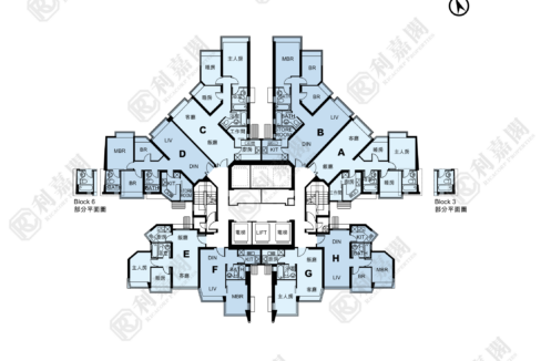 11138_2000_Ricacorp-4.png