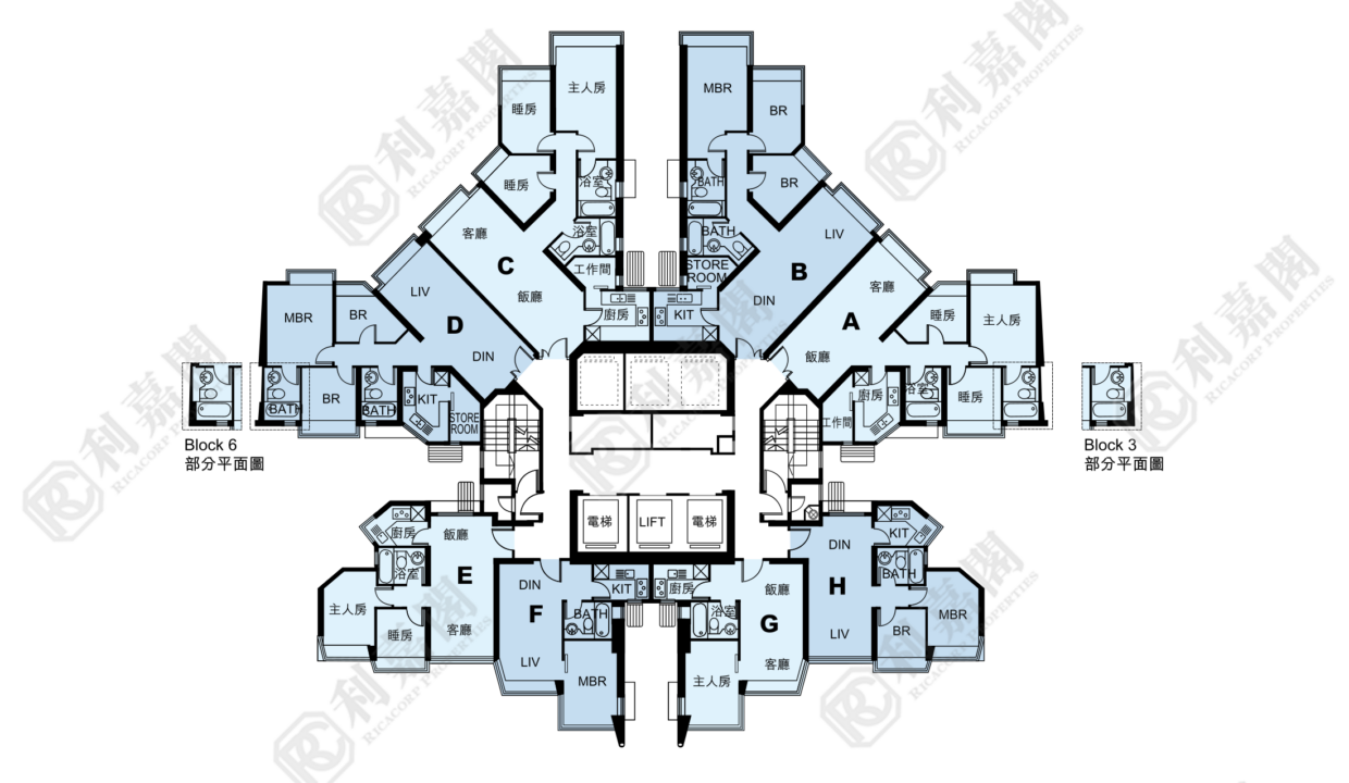 11138_2000_Ricacorp-7.png