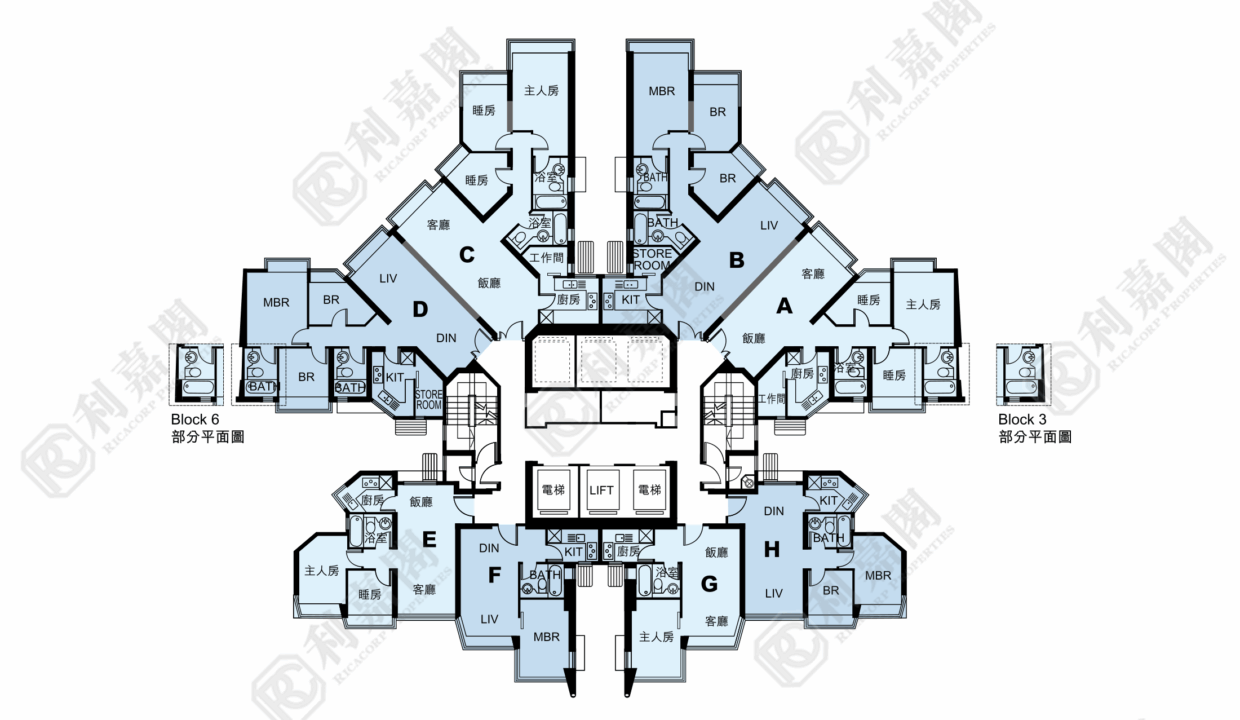 11139_2000_Ricacorp-2.png