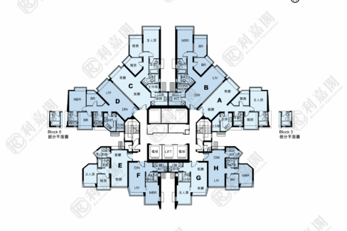 11139_2000_Ricacorp-2.png