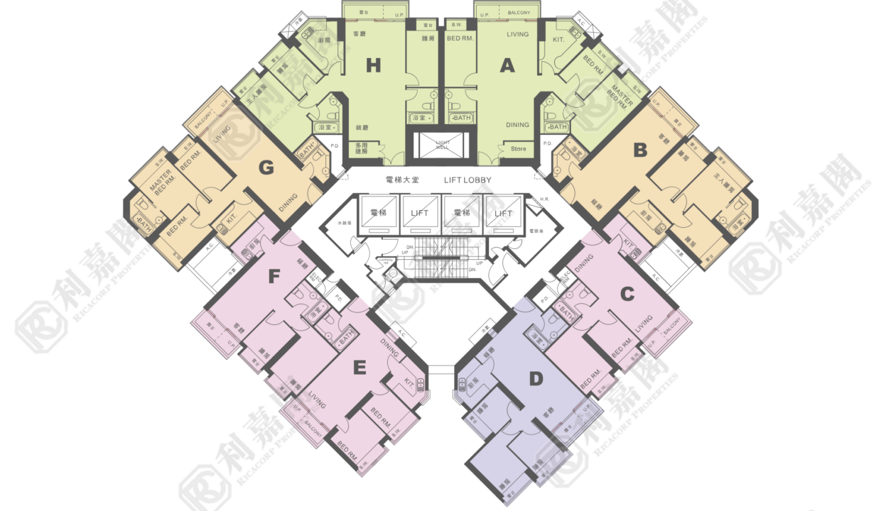 11262_2000_Ricacorp-4.png