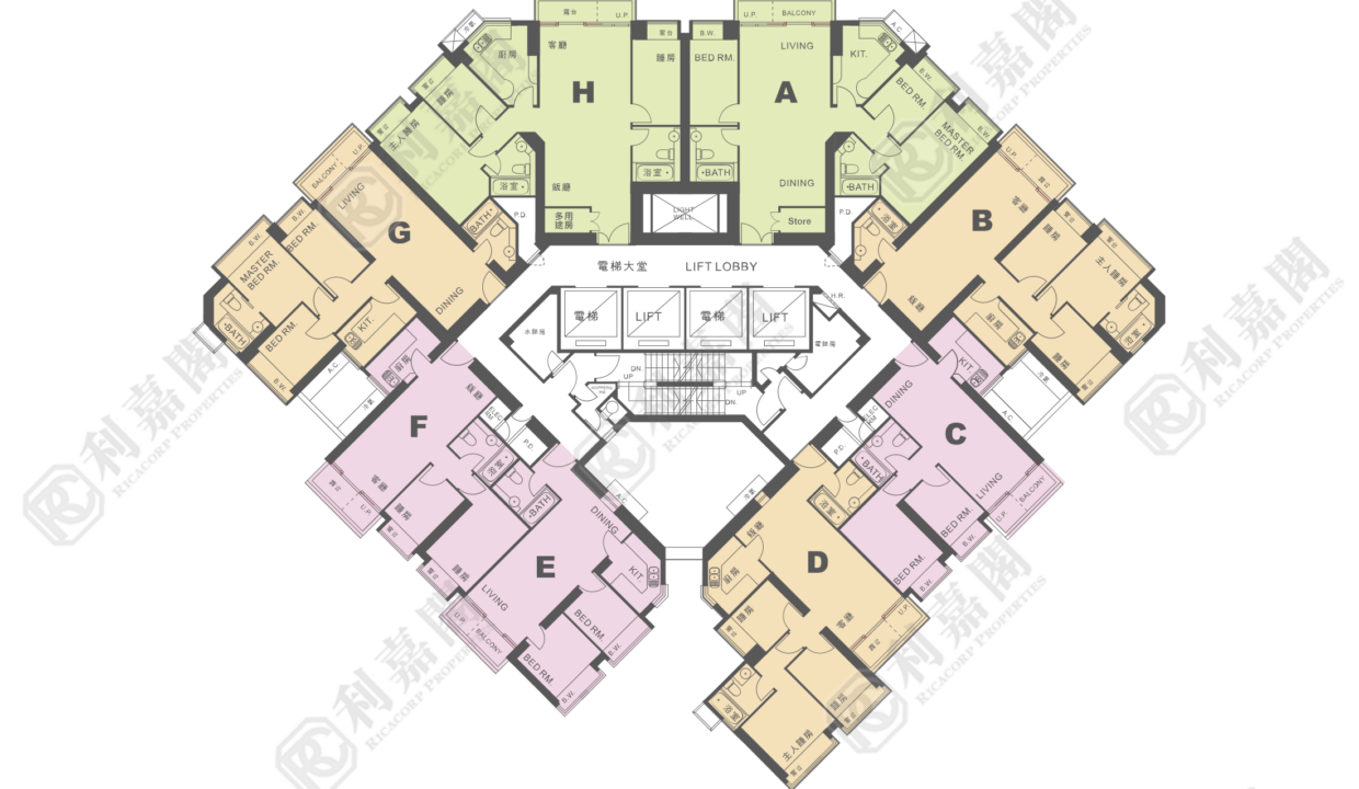 11264_2000_Ricacorp-8.png