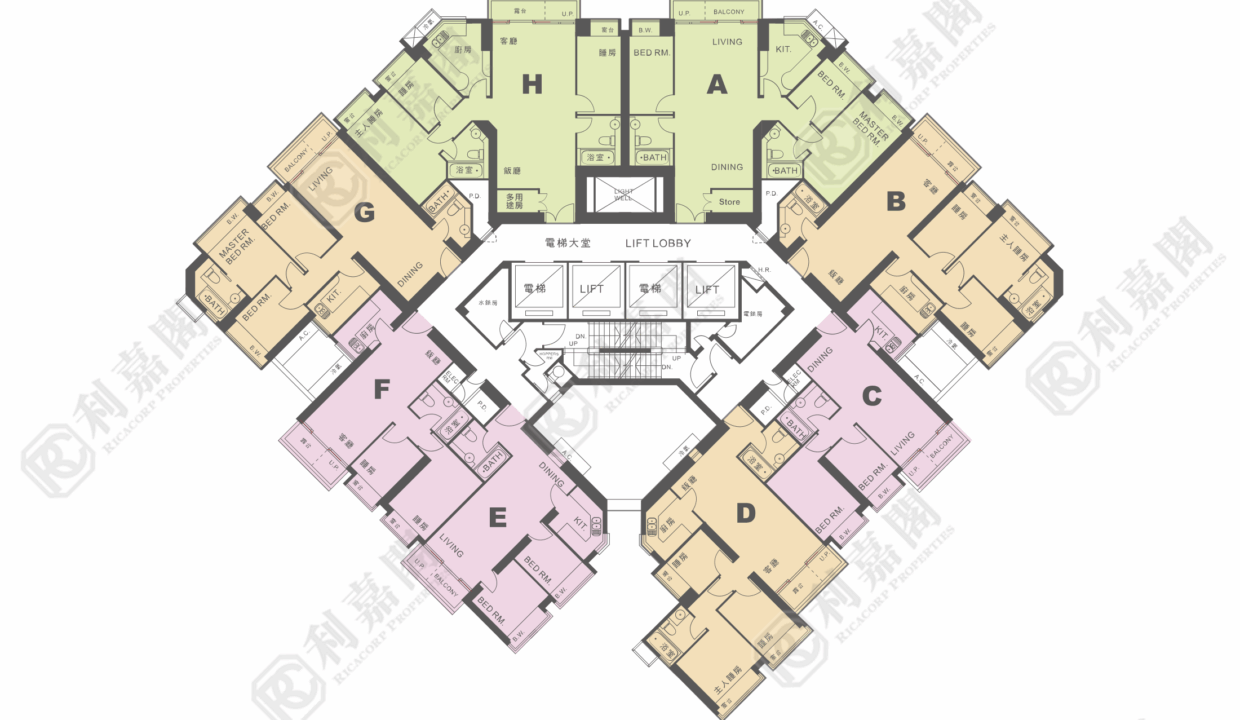 11264_2000_Ricacorp-9.png