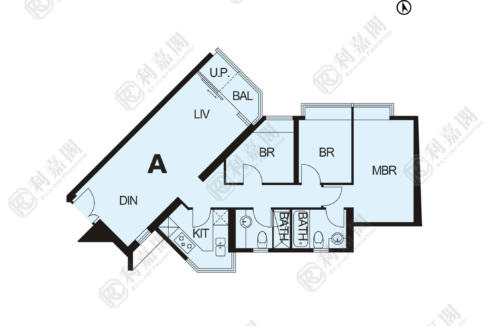 11419_2000_Ricacorp-1.png