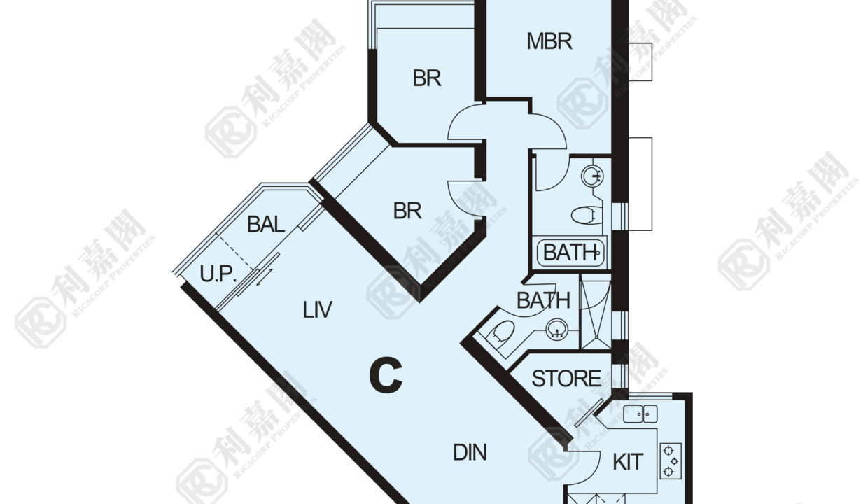 11422_2000_Ricacorp-1.png