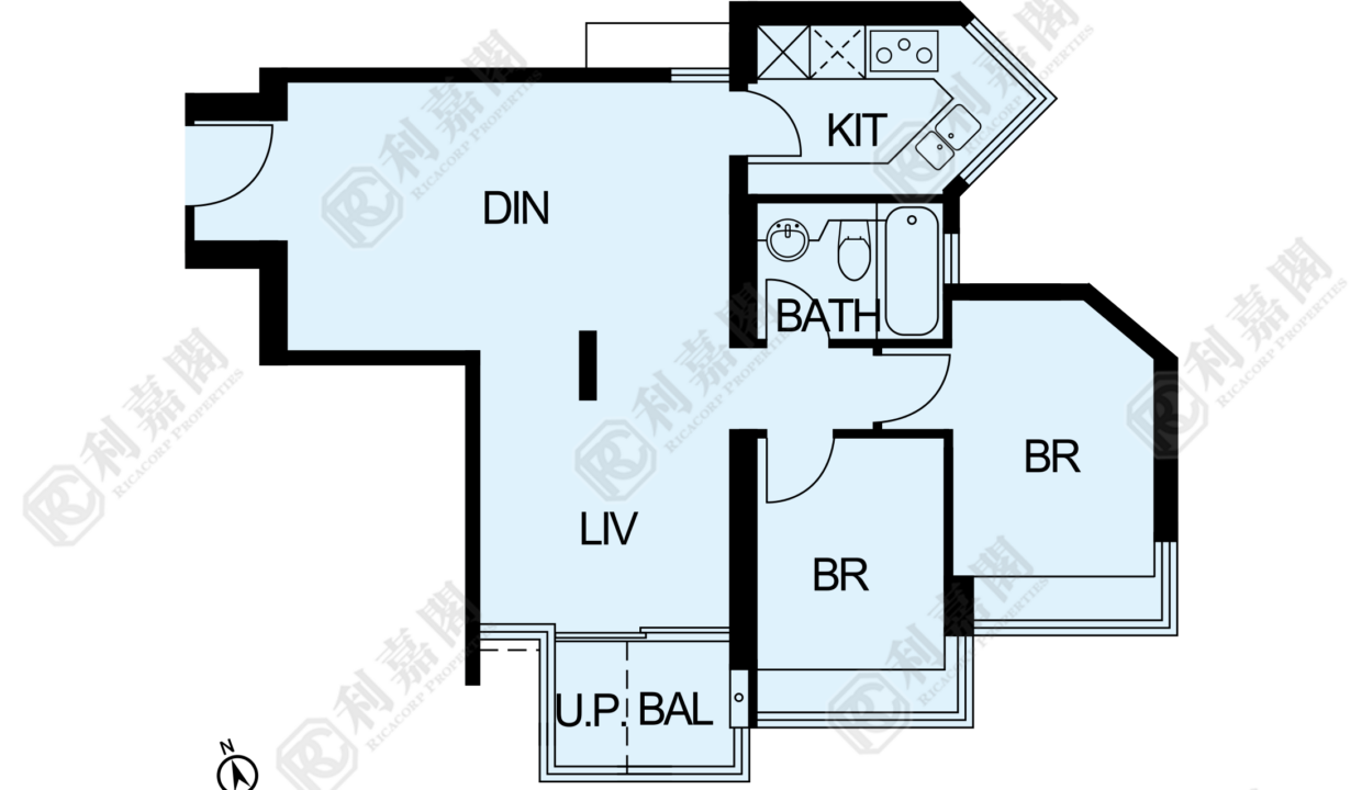 11484_2000_Ricacorp-2.png