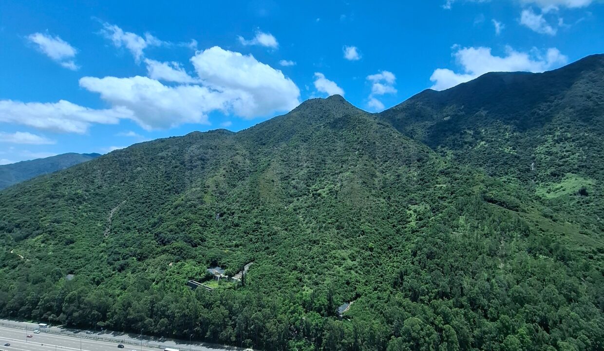 1841a0bf-f1be-4906-85d0-8738735a0af0.jpeg