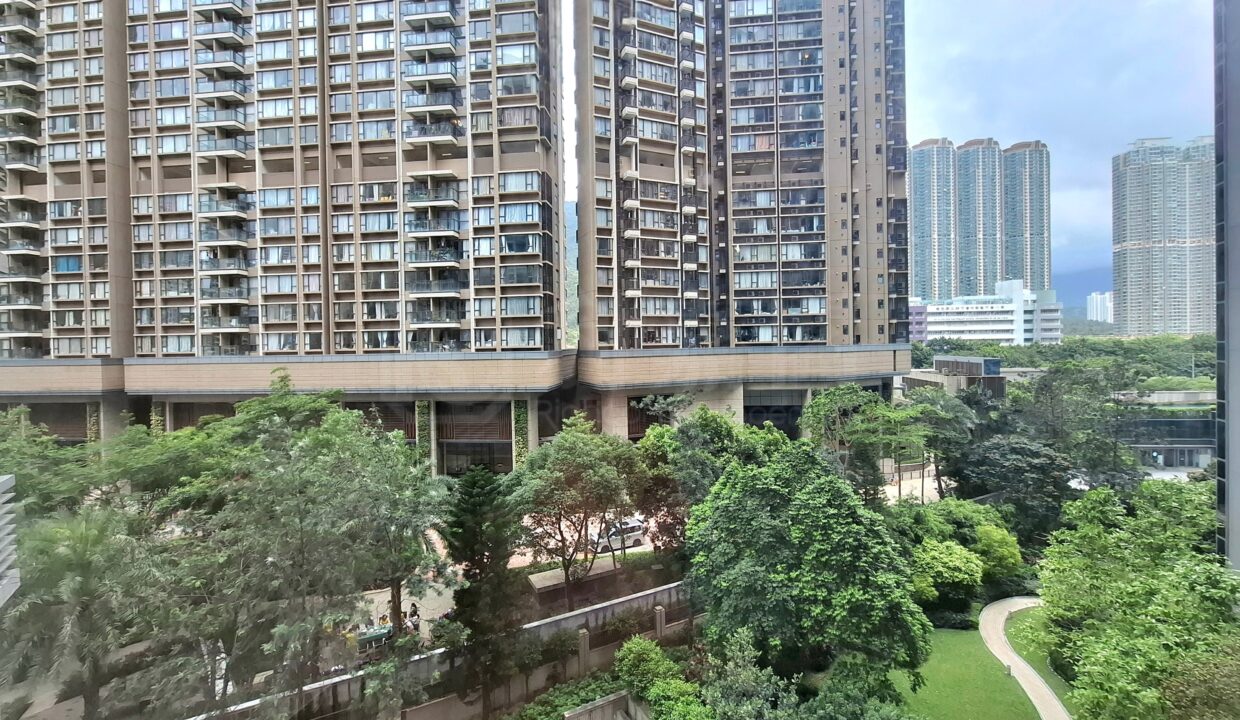 18709483-ad33-45be-93ca-9b3df5fccf31.jpeg