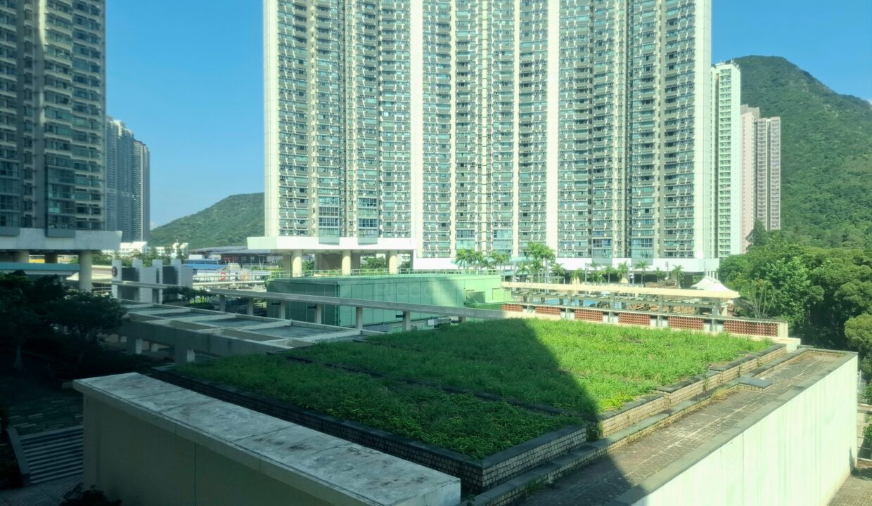 1cc93384-438e-4723-ac8e-ce7835751607.jpeg