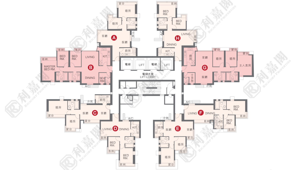 21294_2000_Ricacorp-3.png