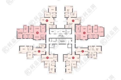 21294_2000_Ricacorp-3.png