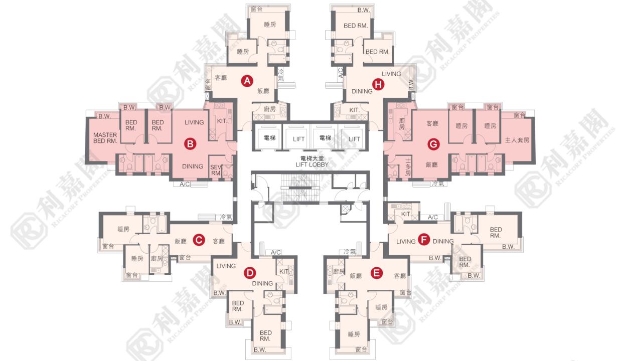 21298_2000_Ricacorp-3.png