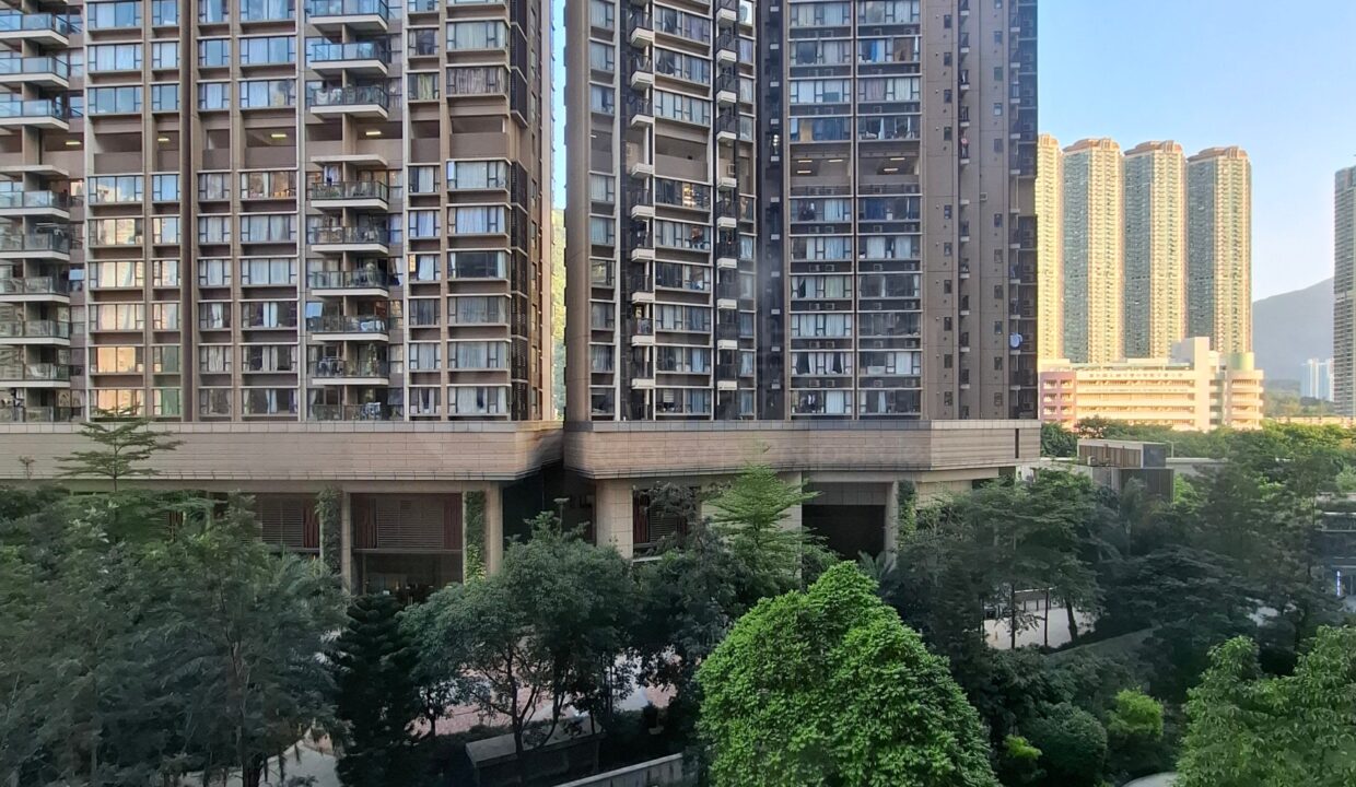 25c49e84-3eef-4acc-9216-3cddbc045cda.jpeg