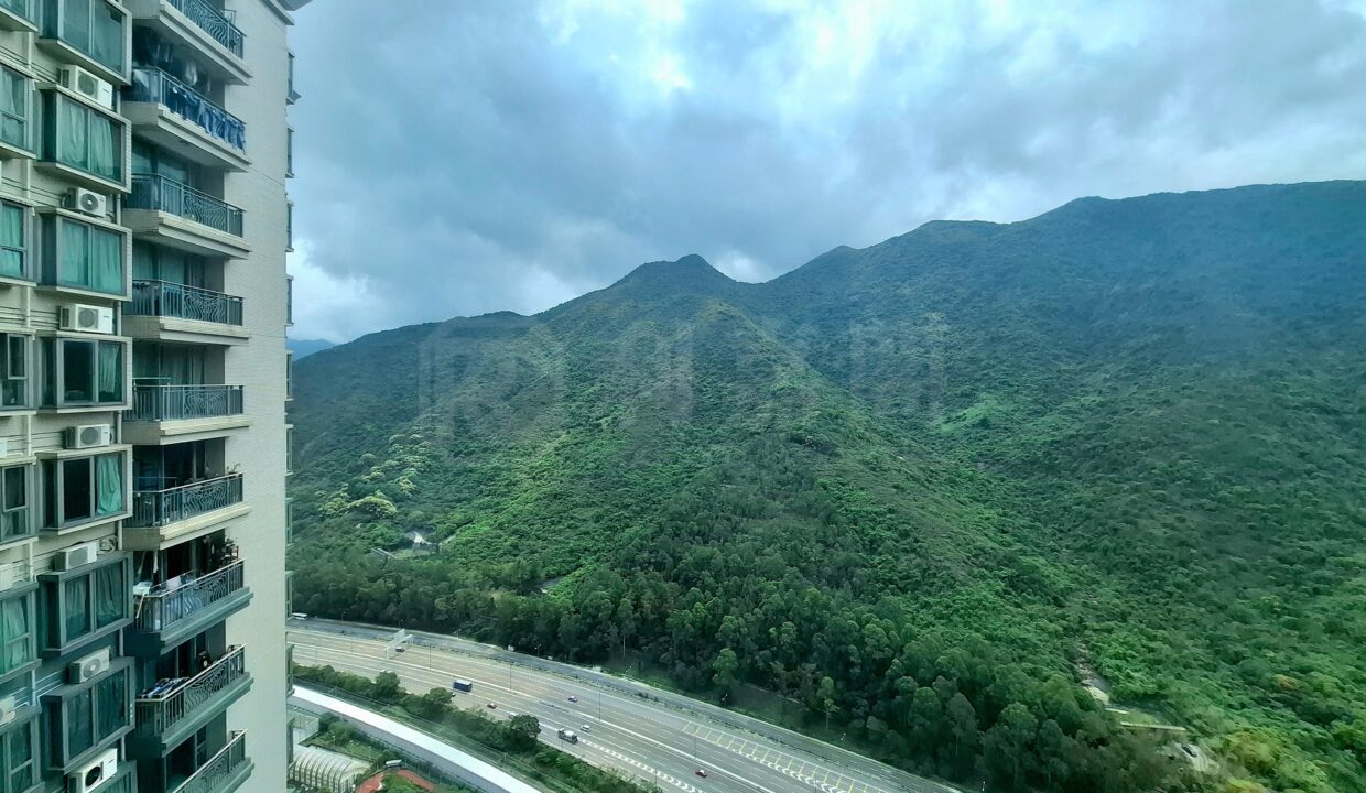 30fa7703-3830-4a3d-813c-c2246bd76354.jpeg