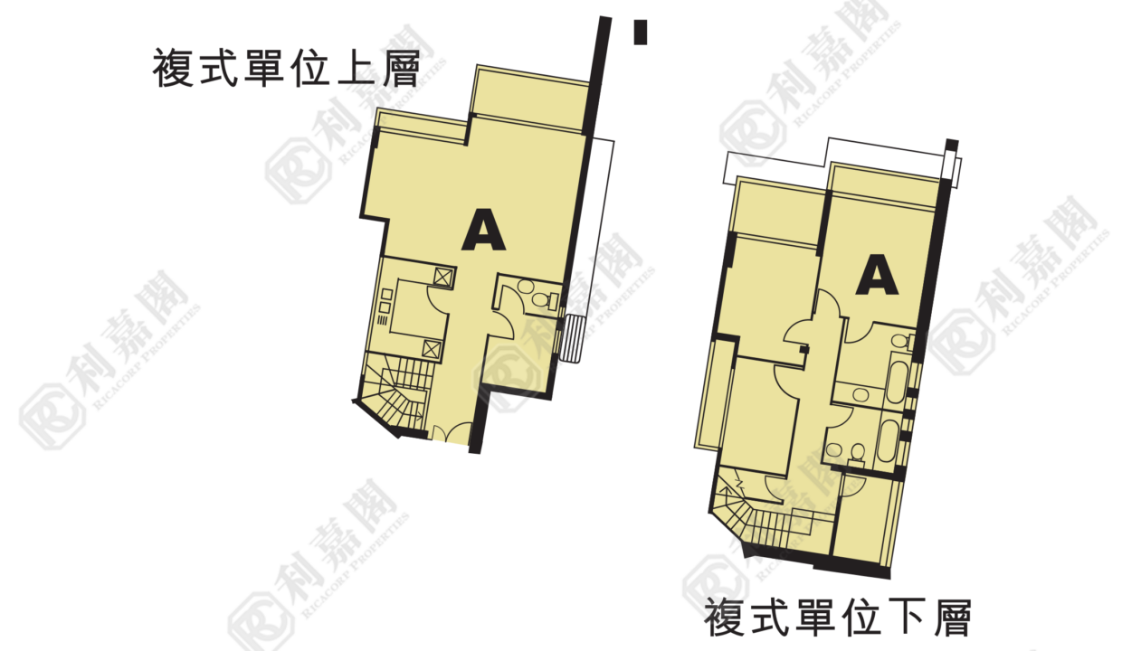 36375_2000_Ricacorp-2.png