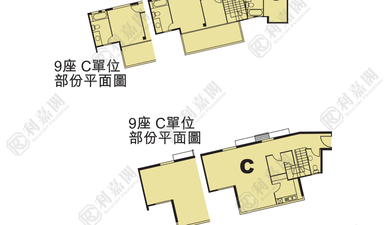 36391_2000_Ricacorp-1.png