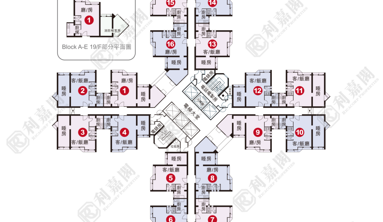 38942_2000_Ricacorp-5.png