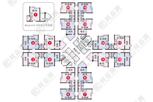 38942_2000_Ricacorp-5.png