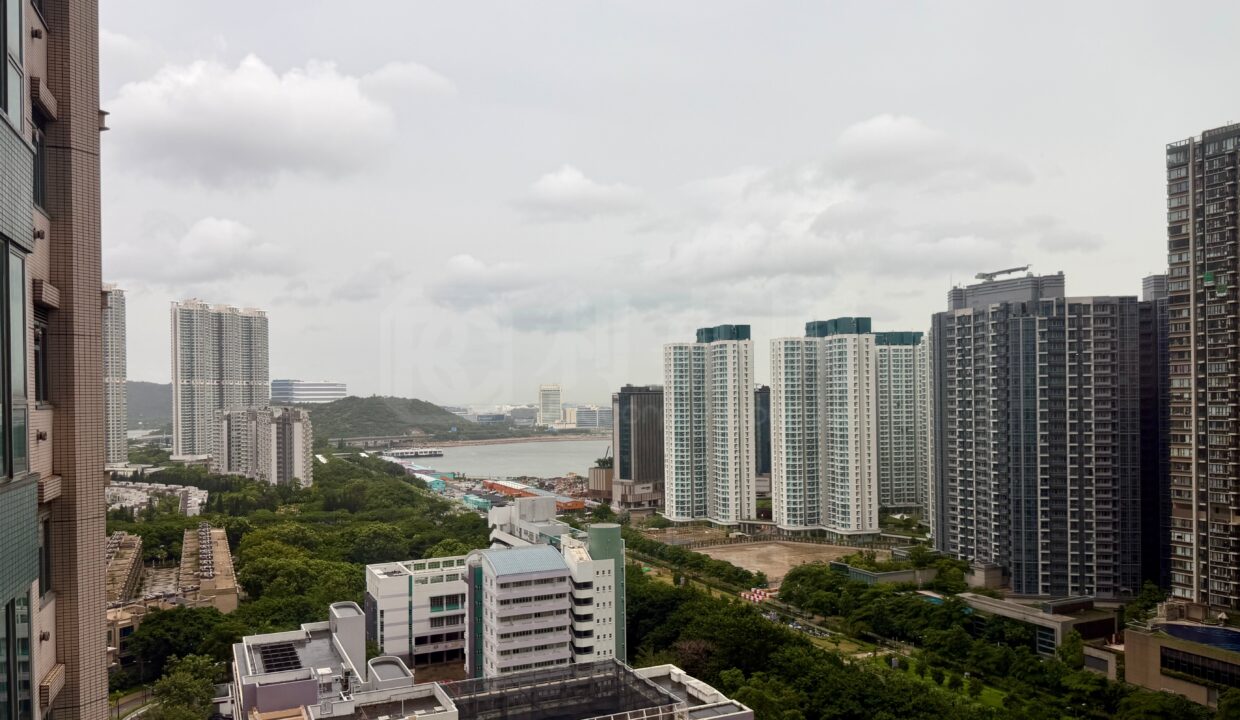 41c90373-7898-42f5-bb43-93043c18ec47.jpeg