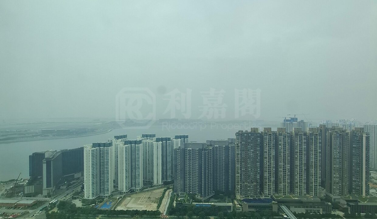 43139846-74ad-43ed-9518-0206d7b69966.jpeg