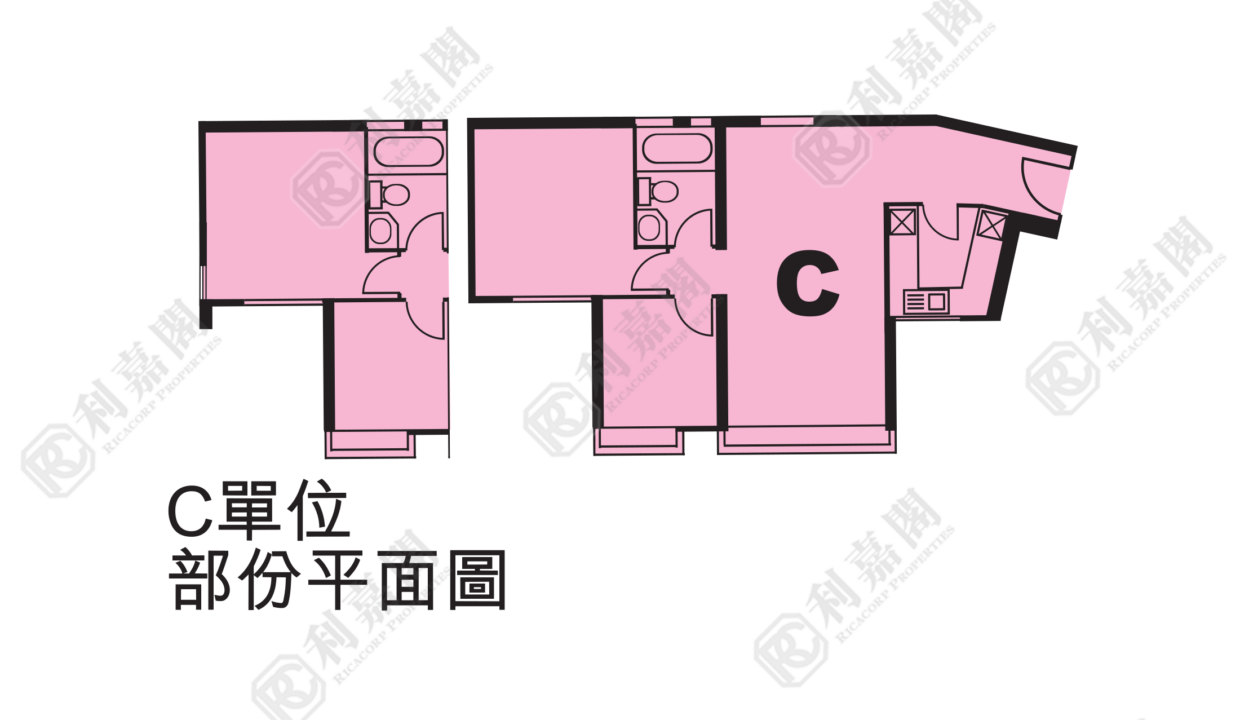 44249_2000_Ricacorp.png