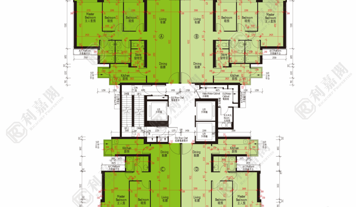 44505_2000_Ricacorp-1.png